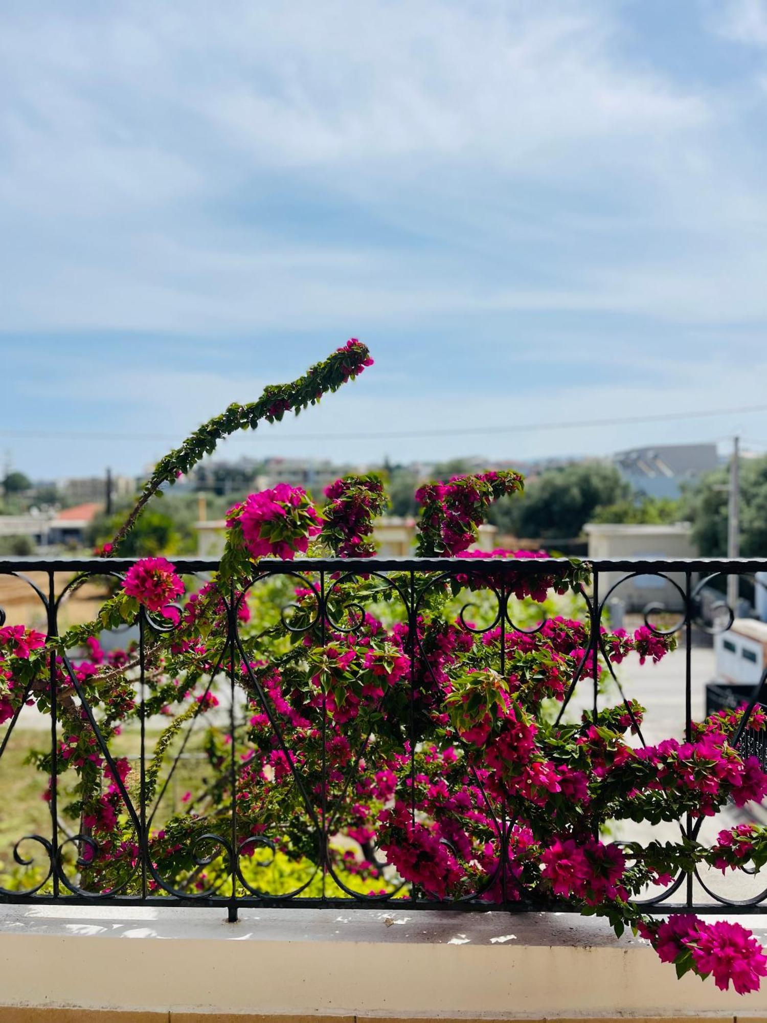 Thea Artemis Vila Kato Daratso Exterior foto